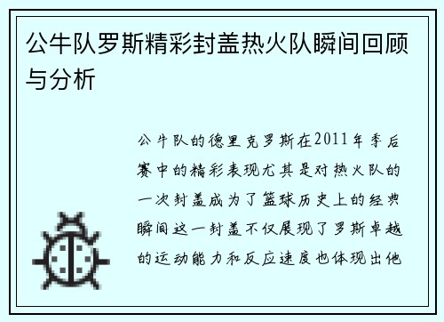 公牛队罗斯精彩封盖热火队瞬间回顾与分析